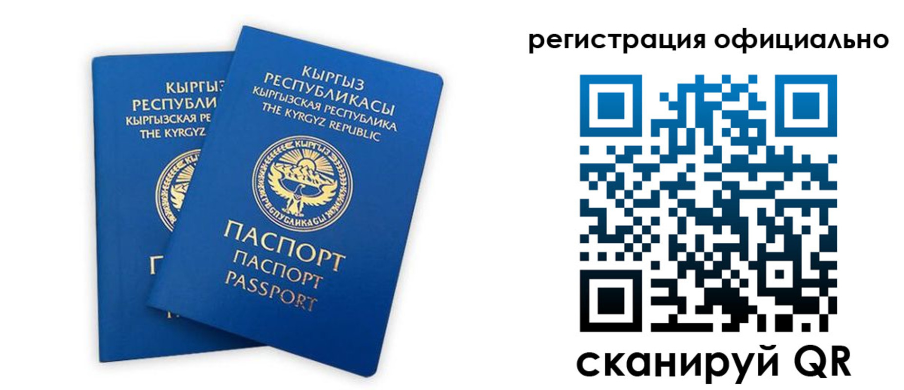 прописка поиск в Суровикино